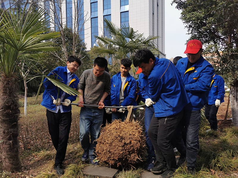 壹定发(中国游)最新官方网站